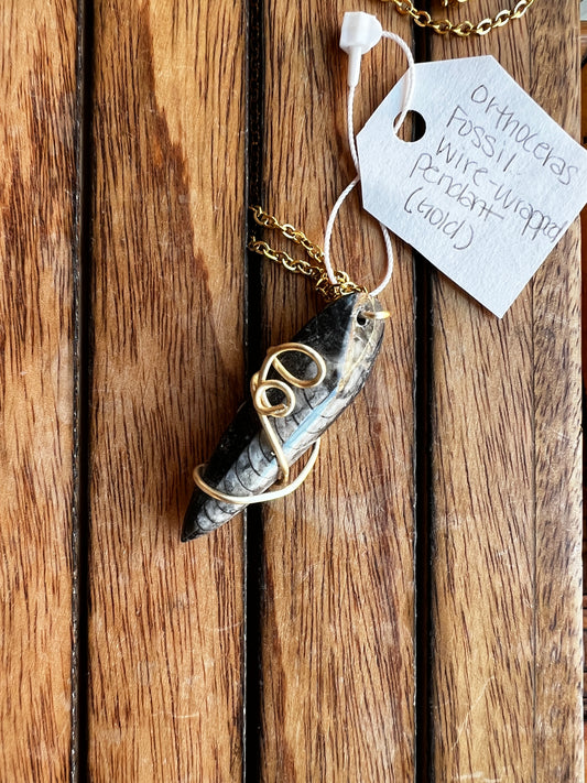 Orthoceras Fossil Wire-wrapped Necklace(Gold)